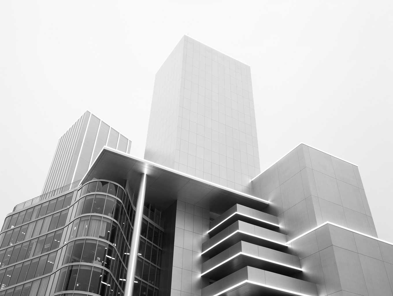 Concrete Jungle